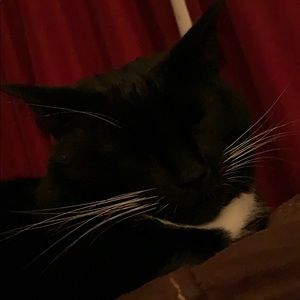 Meet your Posher, Taylor